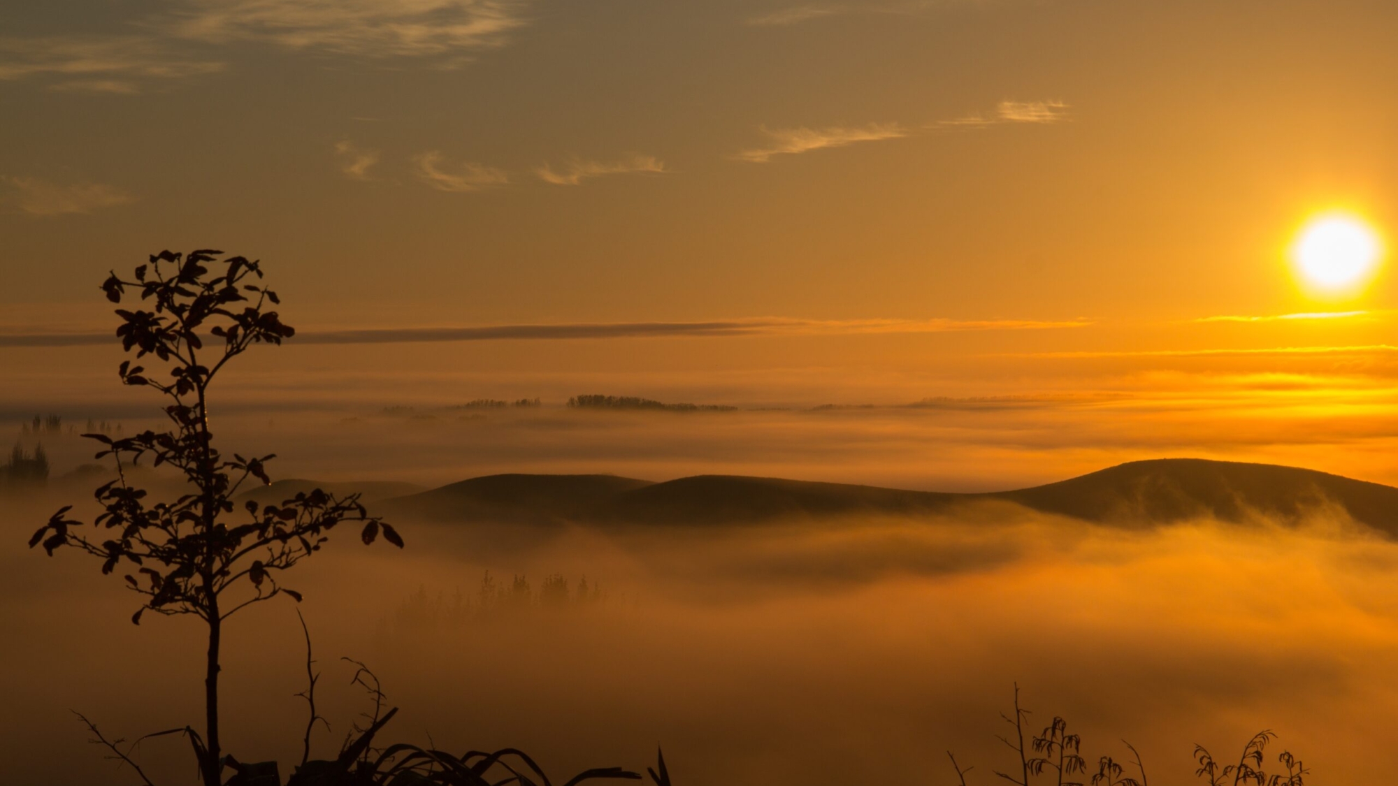 A breathtaking view of the trees and foggy hills captured at sunset in Hawke's Bay, New Zealand